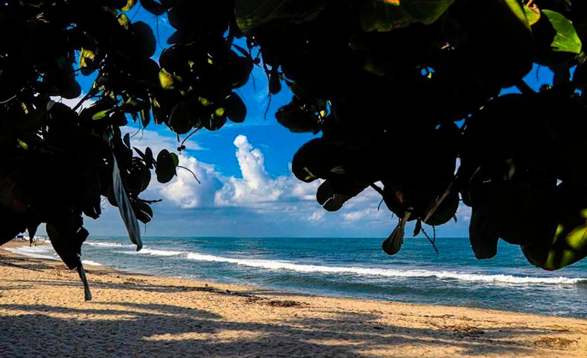 Hostal Mirador Dentro Del Parque Tayrona El Zaino Esterno foto