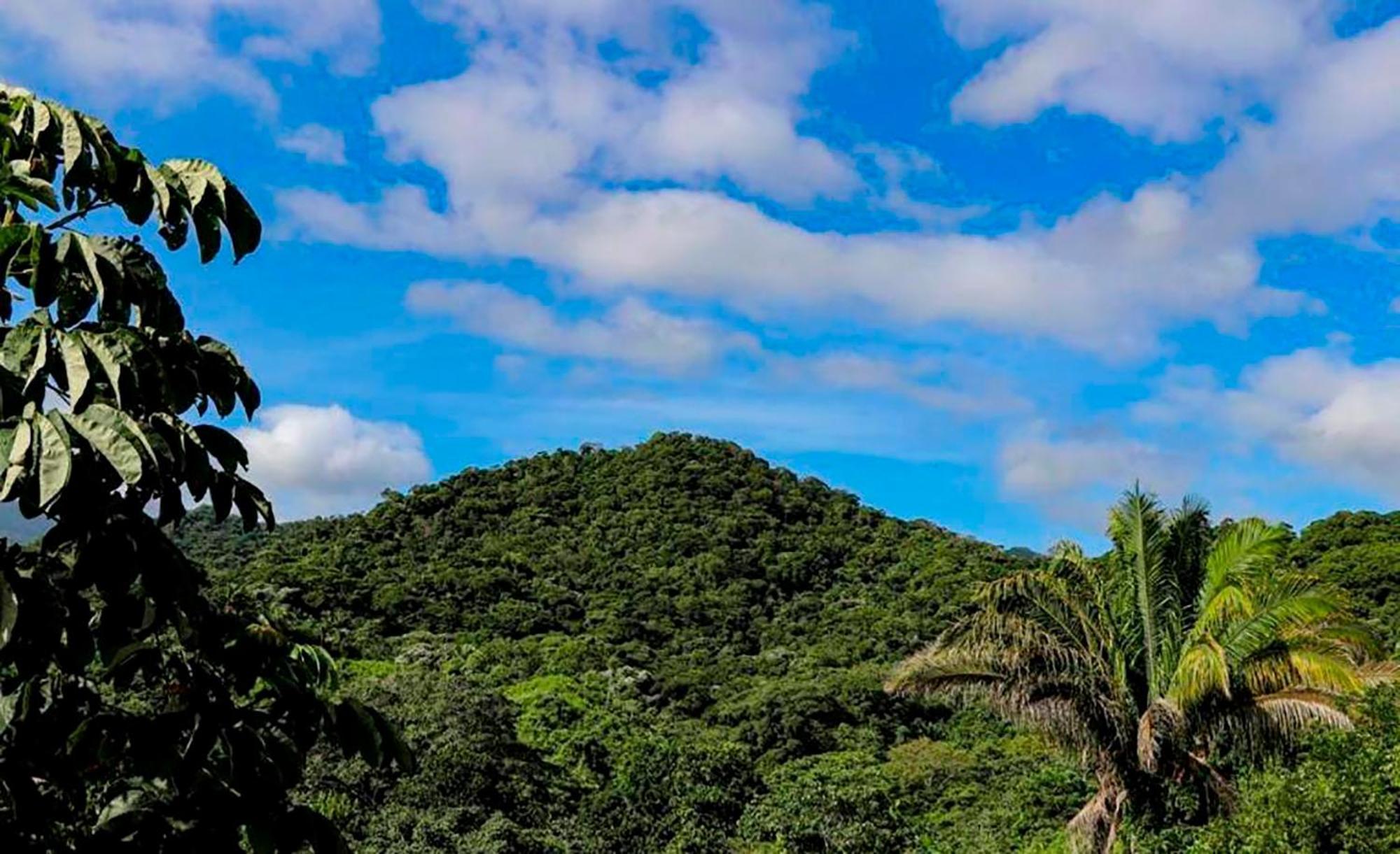 Hostal Mirador Dentro Del Parque Tayrona El Zaino Esterno foto