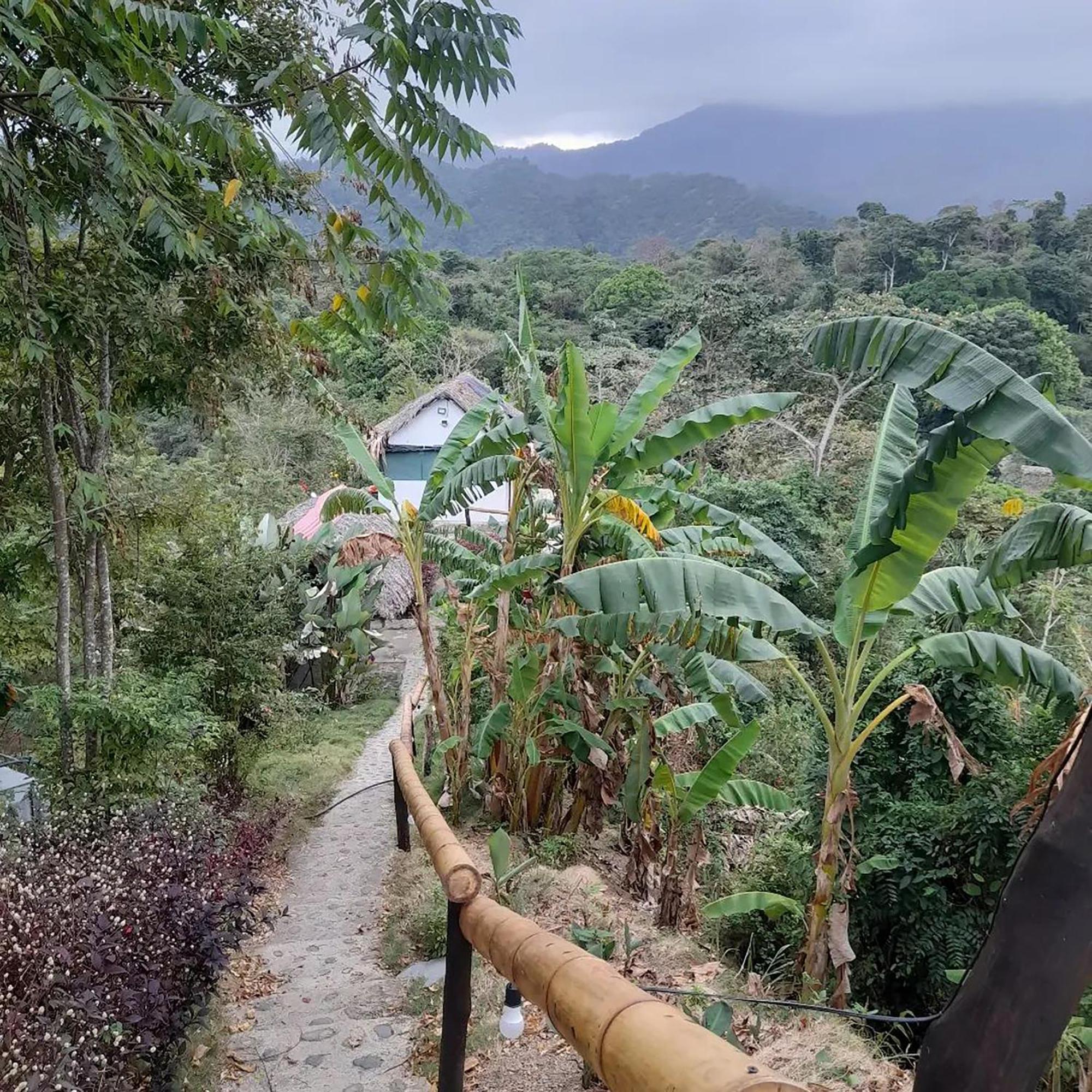 Hostal Mirador Dentro Del Parque Tayrona El Zaino Esterno foto